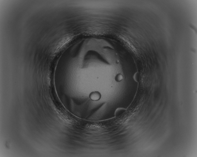 X0000091710635200709071413