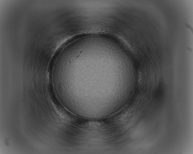 X0000091710636200709071413