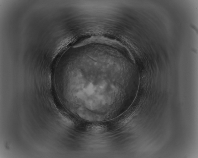 X0000091710638200709071413