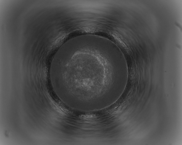 X0000091710639200709071413