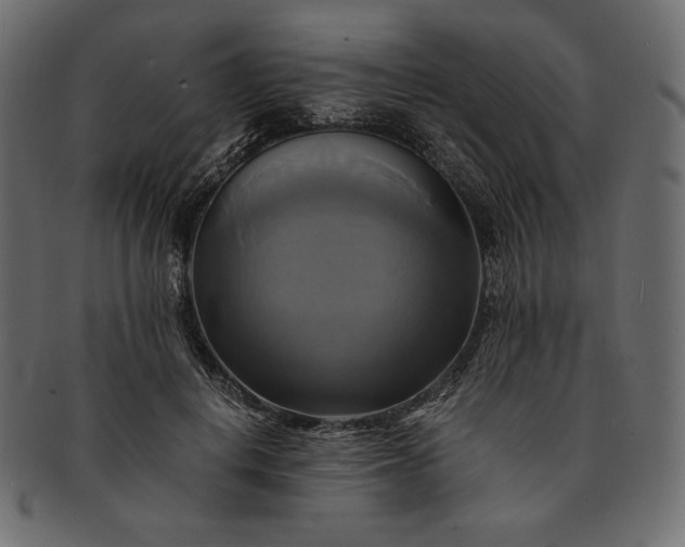 X0000091710648200709071413