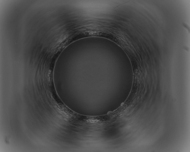 X0000091710650200709071413