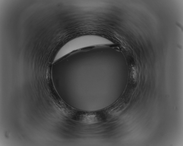 X0000091710651200709071413