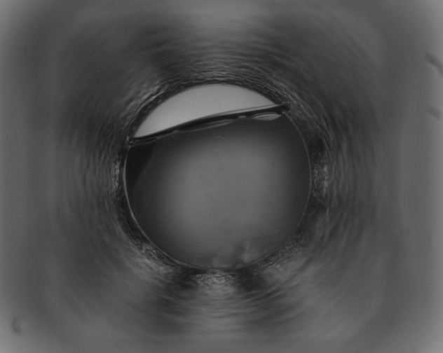 X0000091710652200709071413