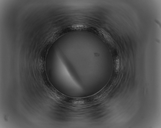 X0000091710653200709071413