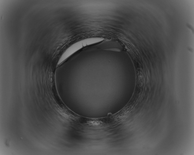 X0000091710654200709071413