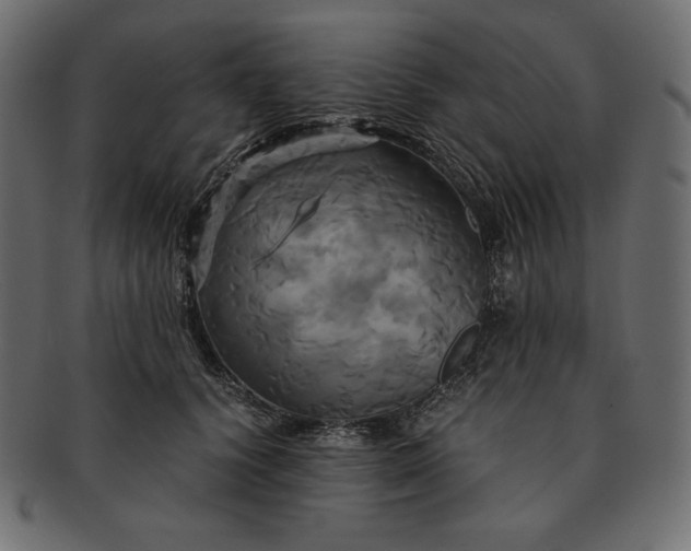 X0000091710656200709071413