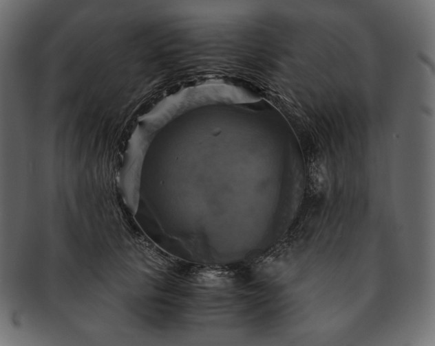 X0000091710657200709071413