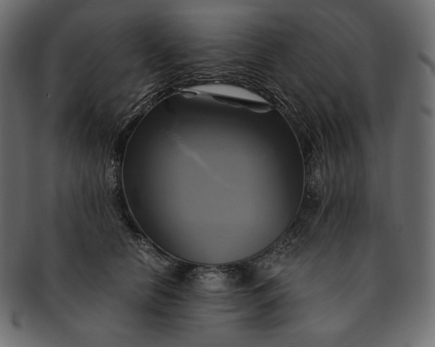 X0000091710658200709071413