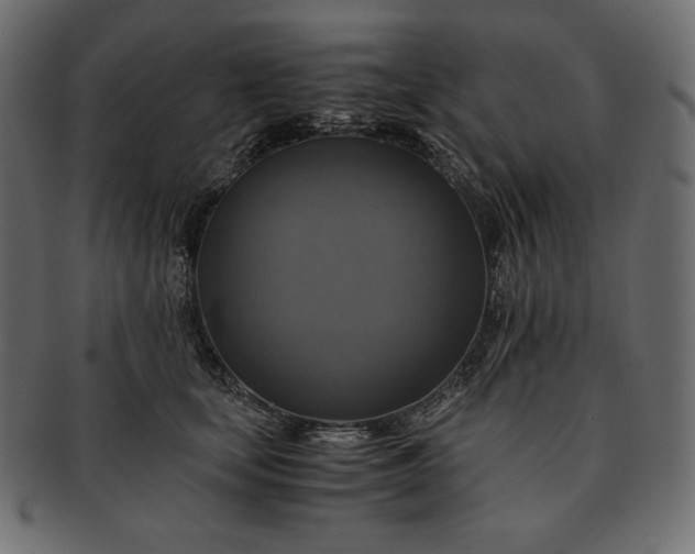 X0000091710659200709071413