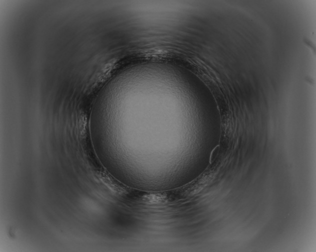 X0000091710660200709071413