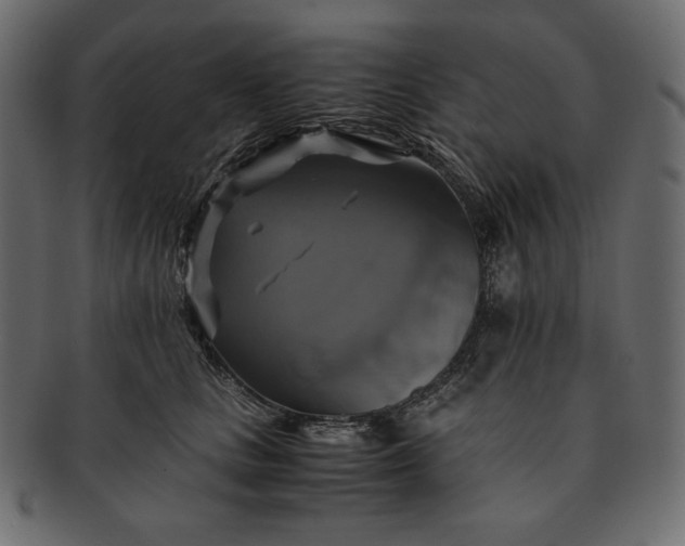 X0000091710661200709071413