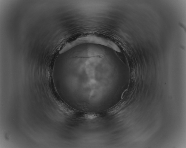 X0000091710662200709071413