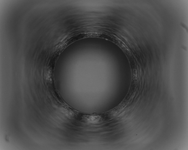 X0000091710663200709071413