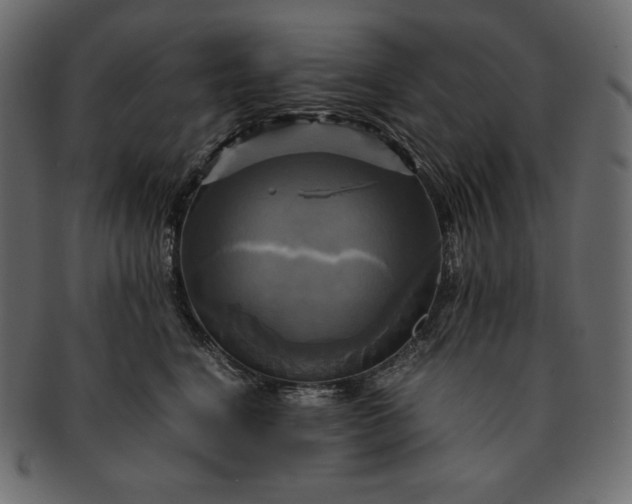 X0000091710664200709071413