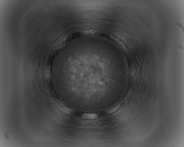 X0000091710665200709071414