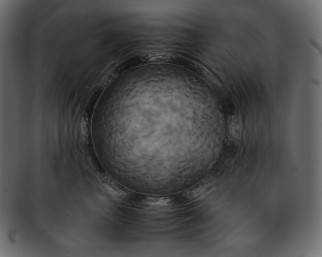 X0000091710667200709071414