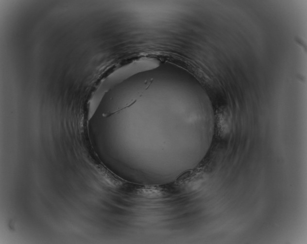 X0000091710668200709071414