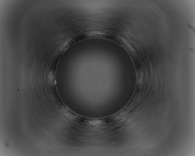 X0000091710669200709071414