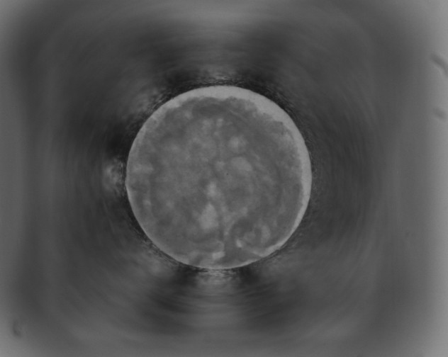 X0000091710672200709071414