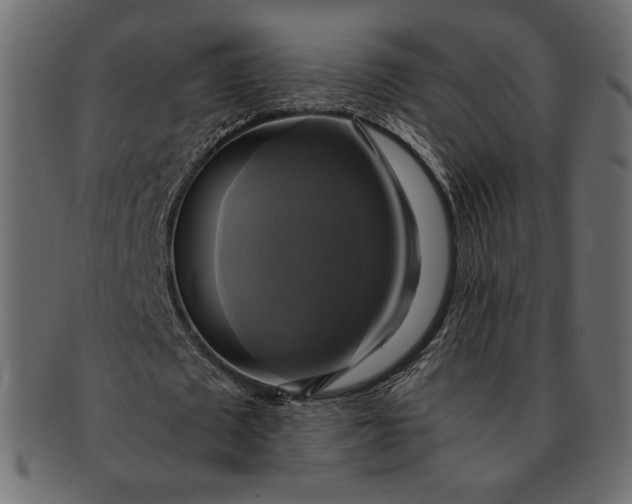 X0000091710673200709071413