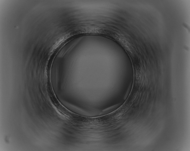 X0000091710674200709071413