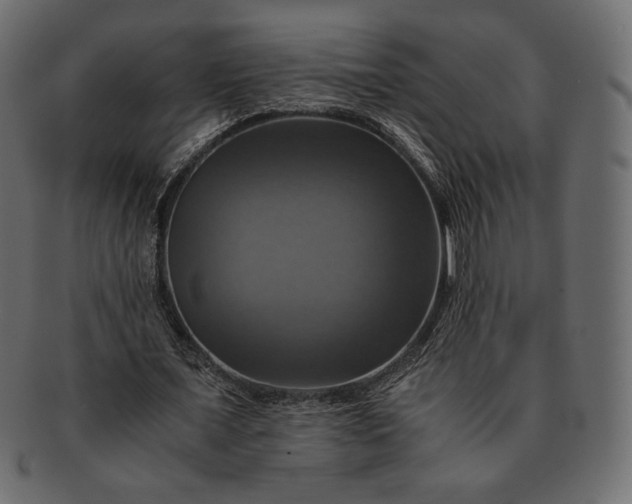 X0000091710675200709071413