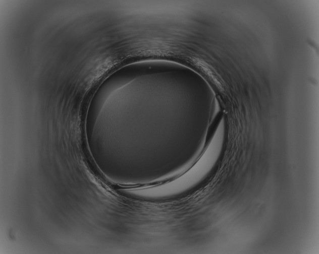 X0000091710677200709071413