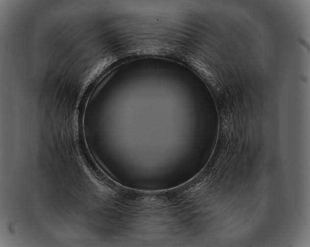 X0000091710678200709071413