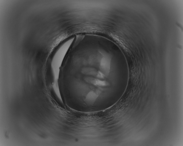 X0000091710679200709071413