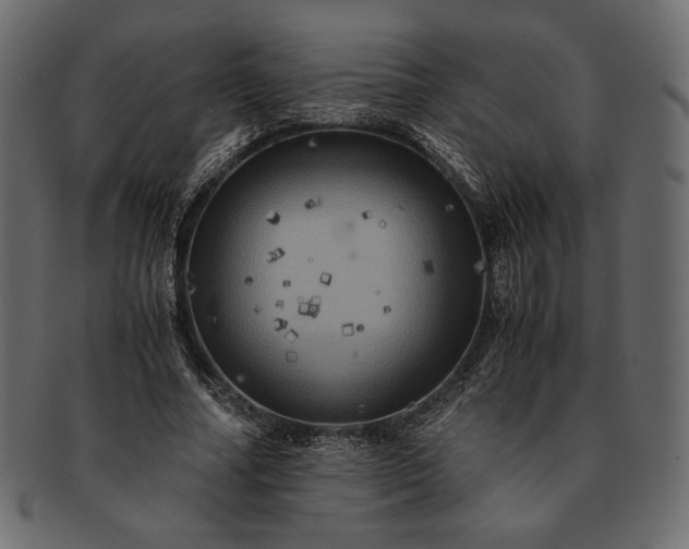 X0000091710682200709071413