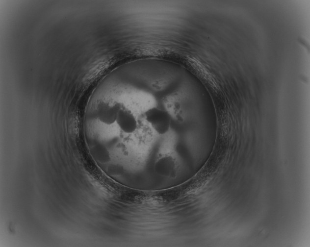 X0000091710683200709071413