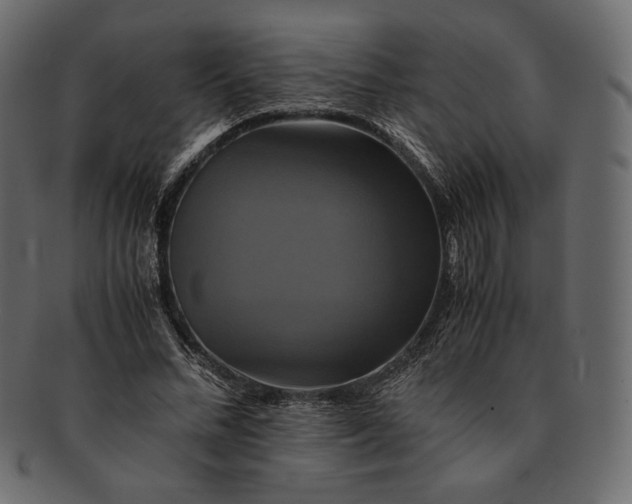 X0000091710684200709071413