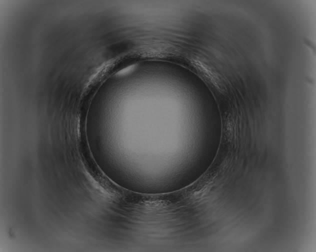 X0000091710686200709071413