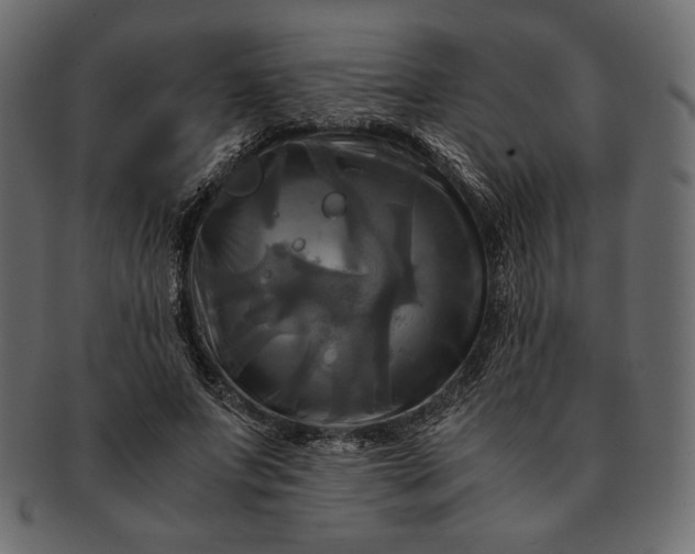 X0000091710687200709071413