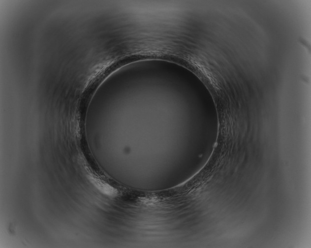 X0000091710688200709071413