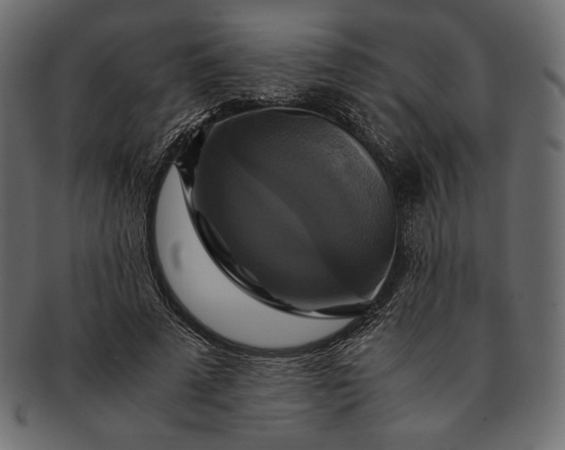 X0000091710689200709071413