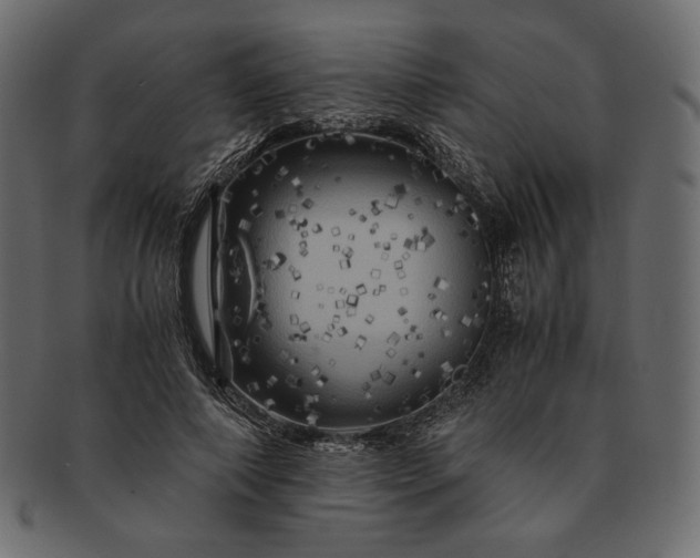 X0000091710690200709071413