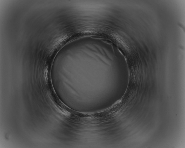 X0000091710692200709071413