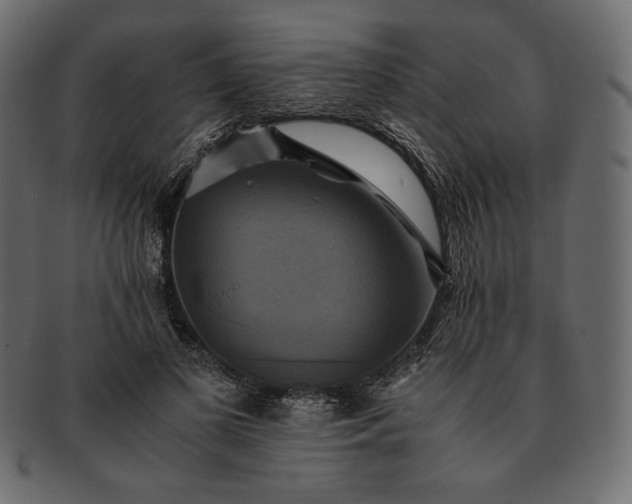 X0000091710693200709071413