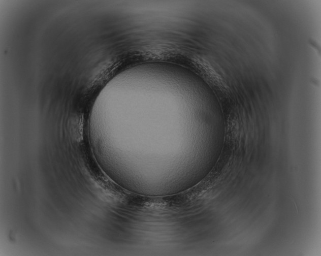 X0000091710694200709071413