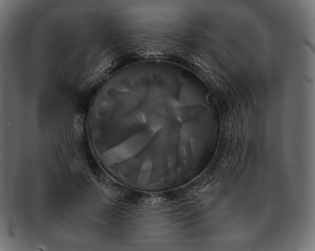 X0000091710695200709071413