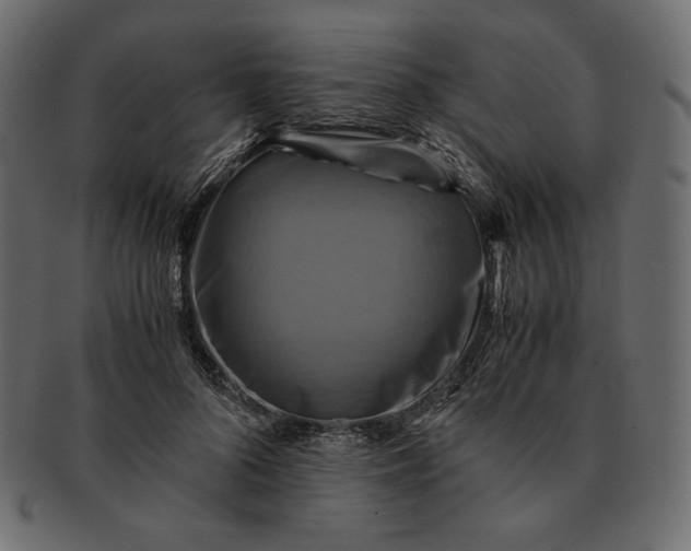 X0000091710696200709071413