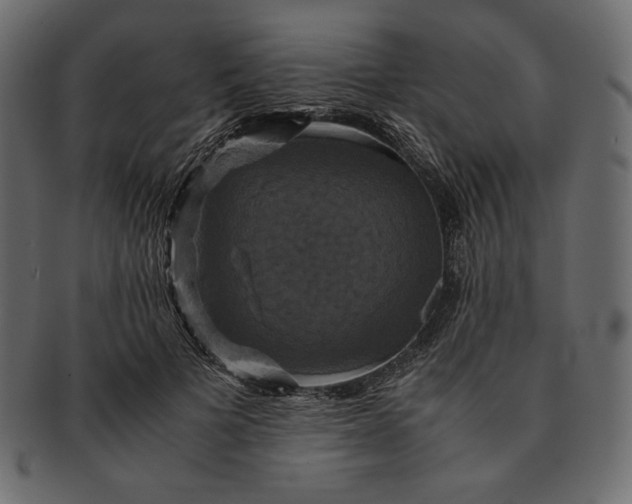 X0000091710697200709071413