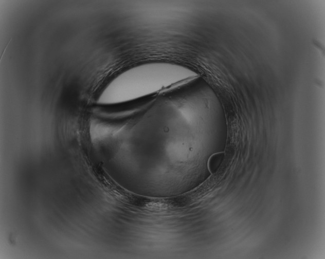 X0000091710699200709071413