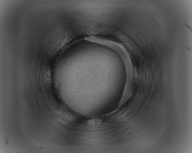 X0000091710700200709071413