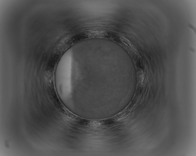 X0000091710701200709071413