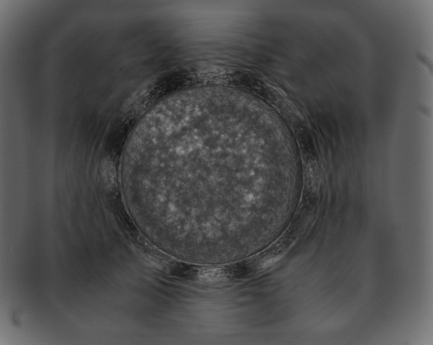 X0000091710705200709071413