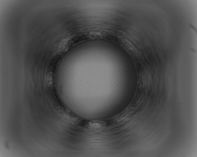 X0000091710706200709071413