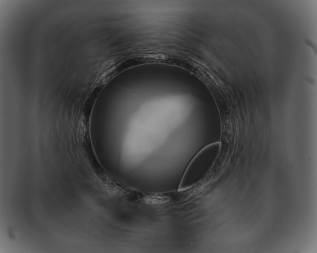 X0000091710707200709071412